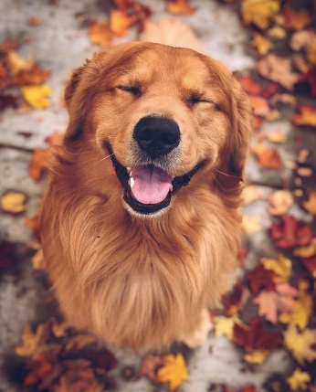 Embracing October!