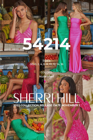 Sherri Hill 54214 prom dress images.  Sherri Hill 54214 is available in these colors: Nude Silver.