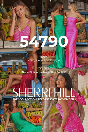 Sherri Hill 54790 prom dress images.  Sherri Hill 54790 is available in these colors: Nude Pink, Aqua Nude, Red Fuchsia.